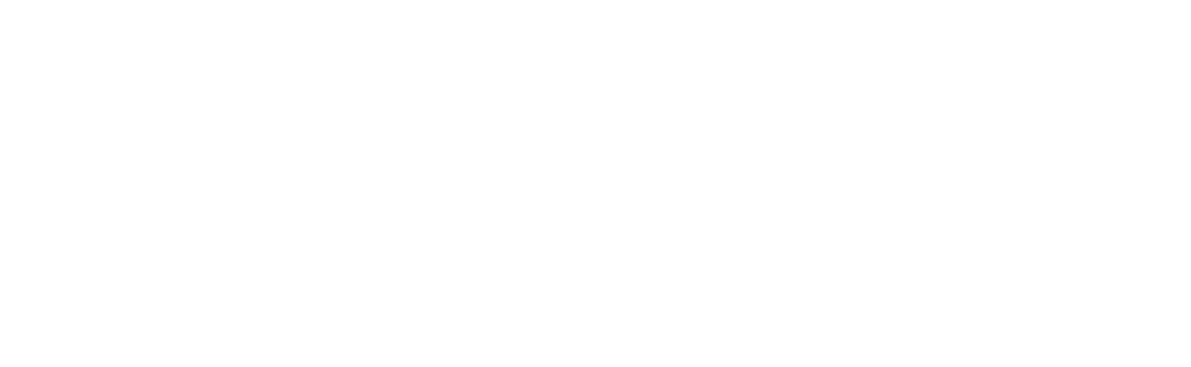 Flairaholiks flair bartending logo